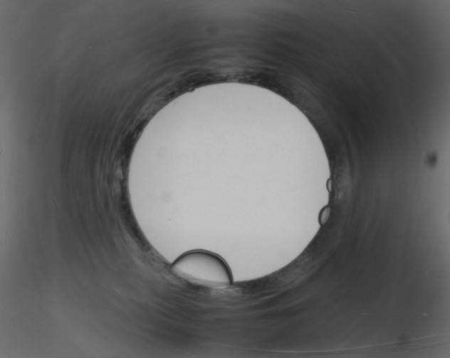 X0000115840279200912242023