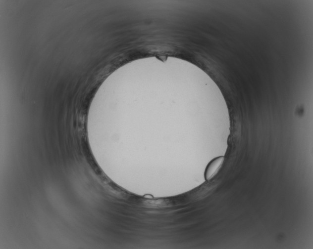 X0000115840281200912242023