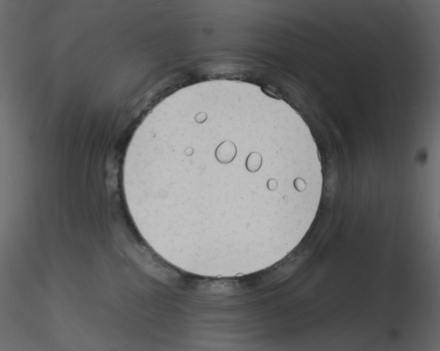 X0000115840282200912242023