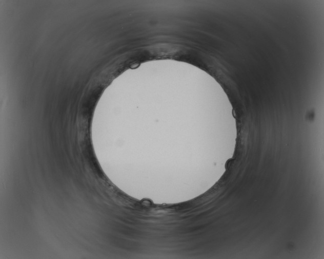 X0000115840283200912242023