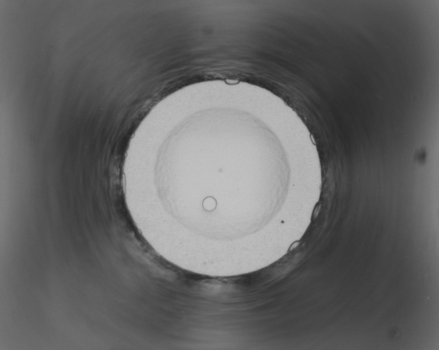 X0000115840284200912242023