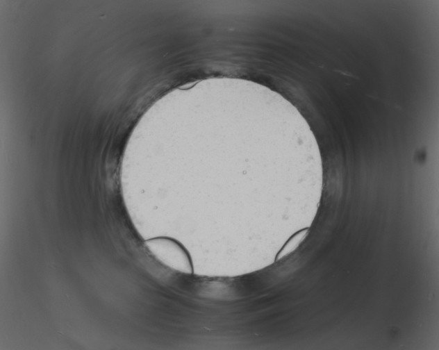 X0000115840285200912242023