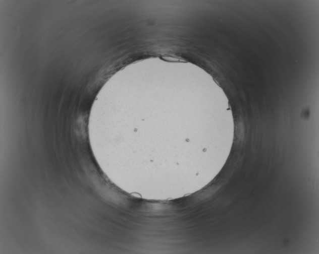 X0000115840286200912242023