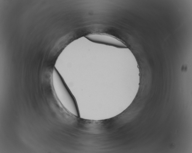 X0000115840288200912242023