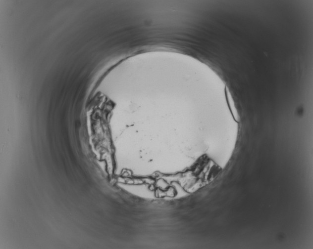 X0000115840289200912242022