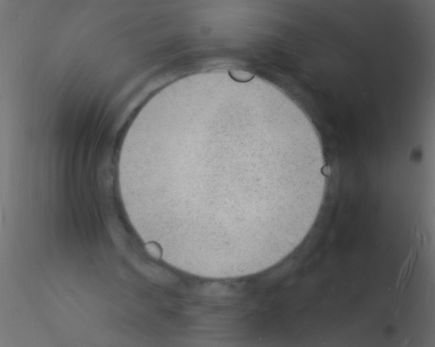 X0000115840290200912242022