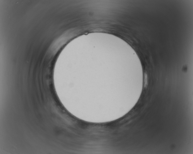 X0000115840291200912242022