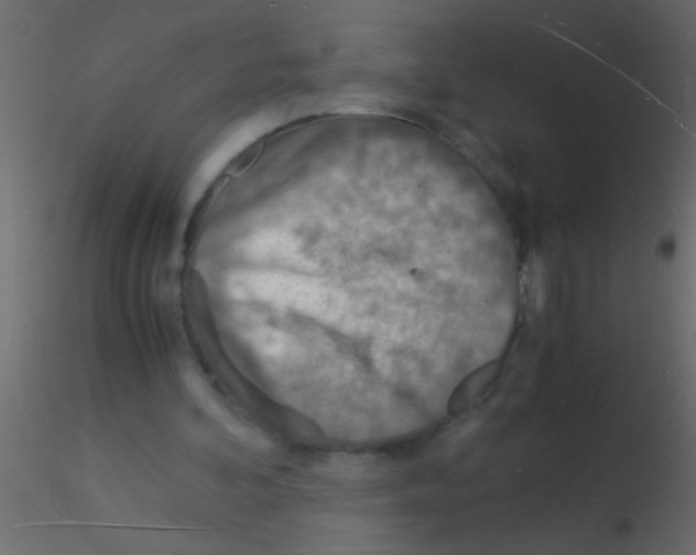 X0000115840292200912242022