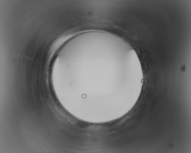 X0000115840294200912242022