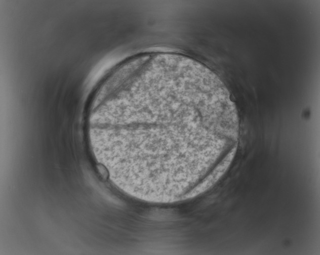 X0000115840296200912242022