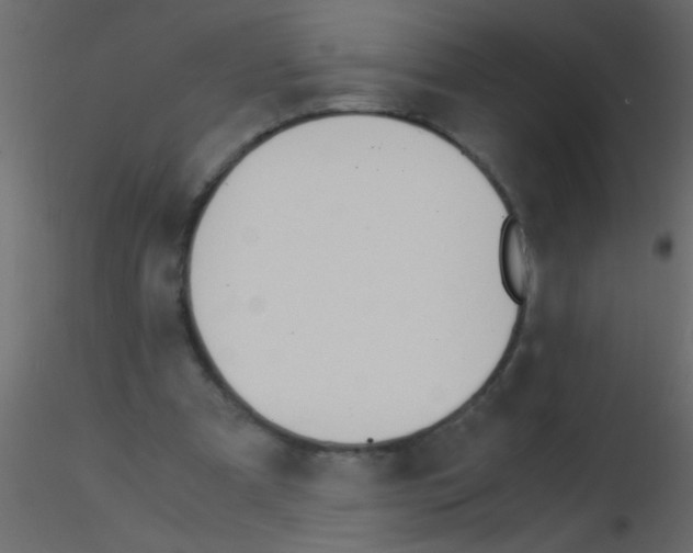 X0000115840297200912242022