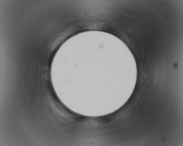 X0000115840299200912242022