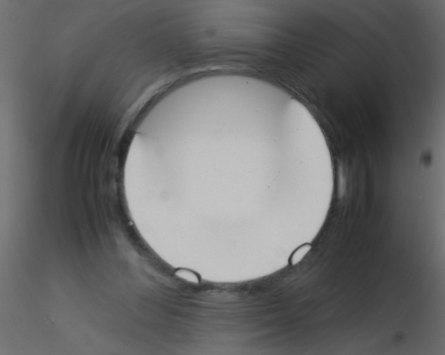 X0000115840300200912242022