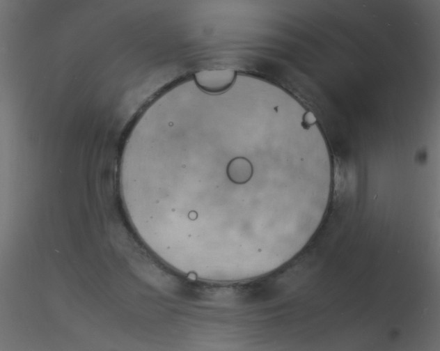 X0000115840301200912242022