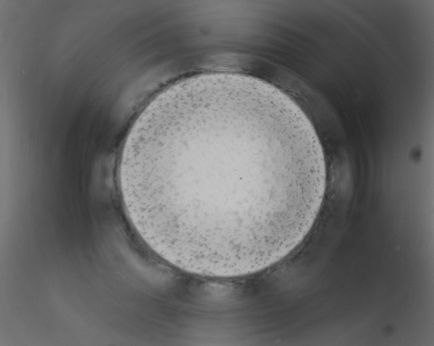 X0000115840302200912242022