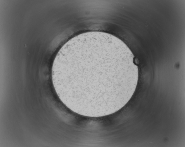 X0000115840303200912242022