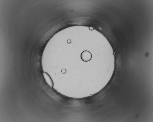 X0000115840305200912242022