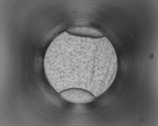 X0000115840308200912242022