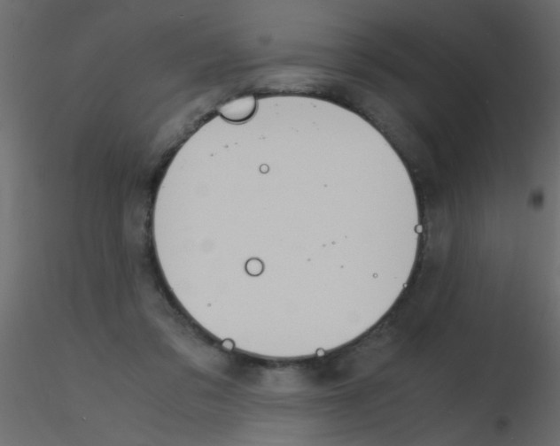 X0000115840309200912242022