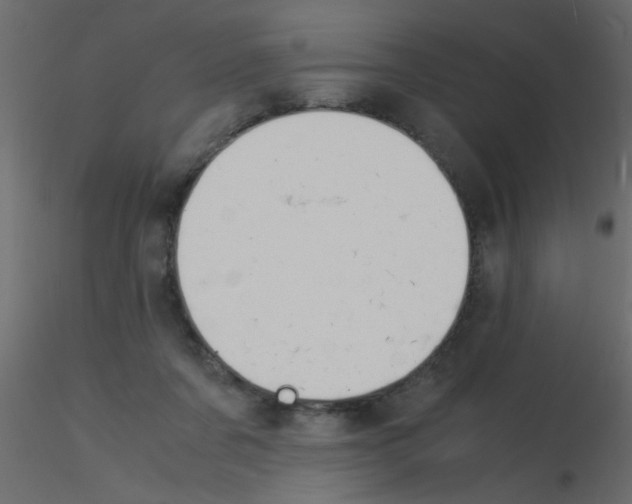 X0000115840311200912242022