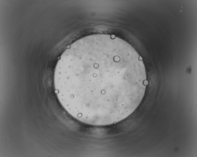 X0000115840313200912242022