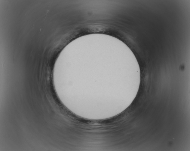 X0000115840315200912242022