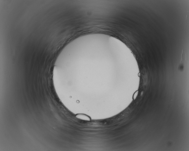 X0000115840316200912242022