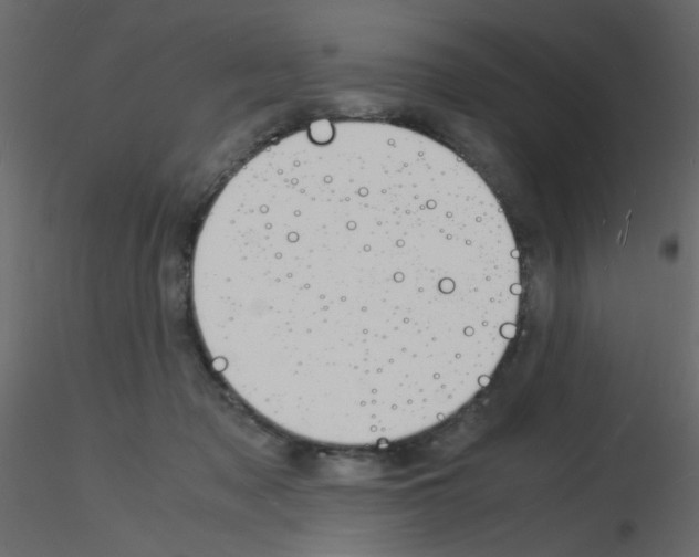 X0000115840317200912242022