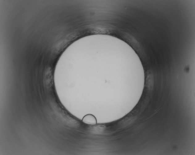 X0000115840318200912242022