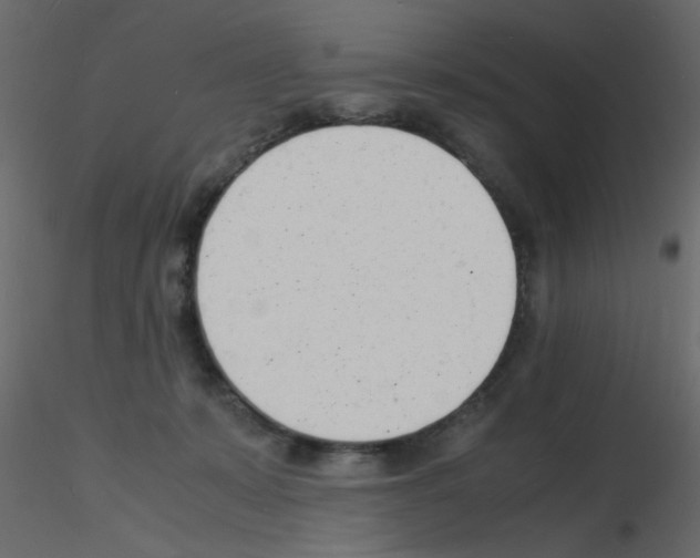 X0000115840319200912242022