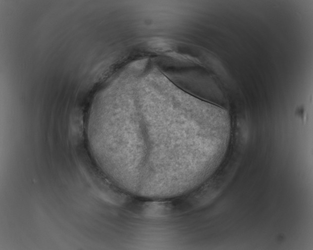 X0000115840320200912242022