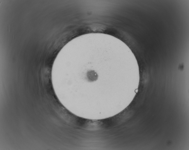 X0000115840321200912242022