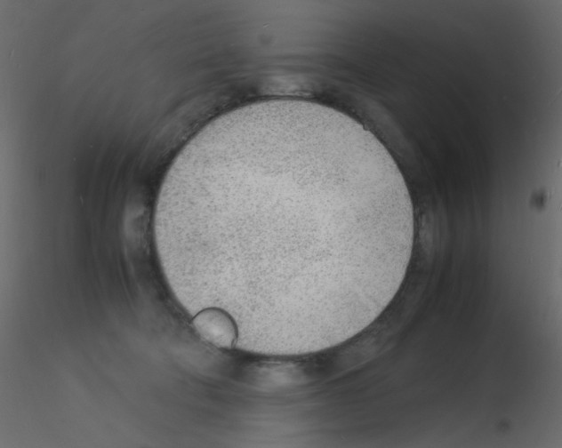 X0000115840322200912242022