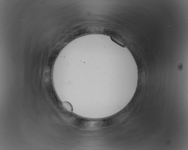 X0000115840323200912242022