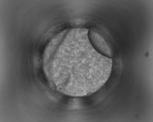 X0000115840324200912242022