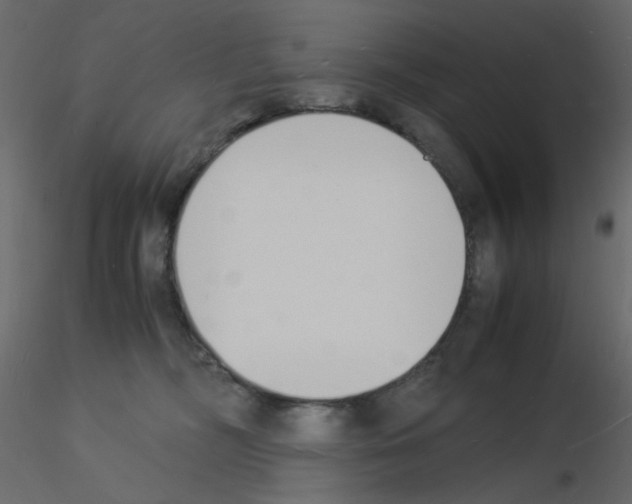 X0000115840326200912242022