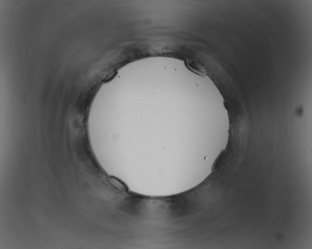 X0000115840327200912242022