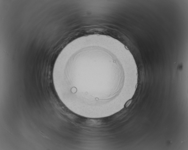 X0000115840328200912242022