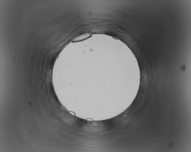 X0000115840329200912242022