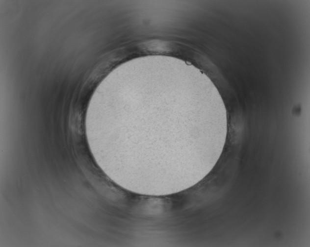 X0000115840330200912242022