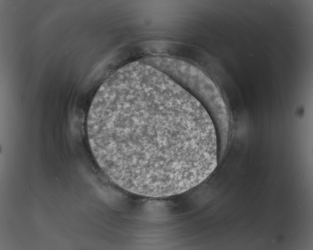 X0000115840332200912242022