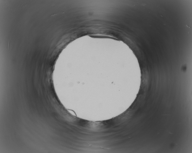 X0000115840333200912242022