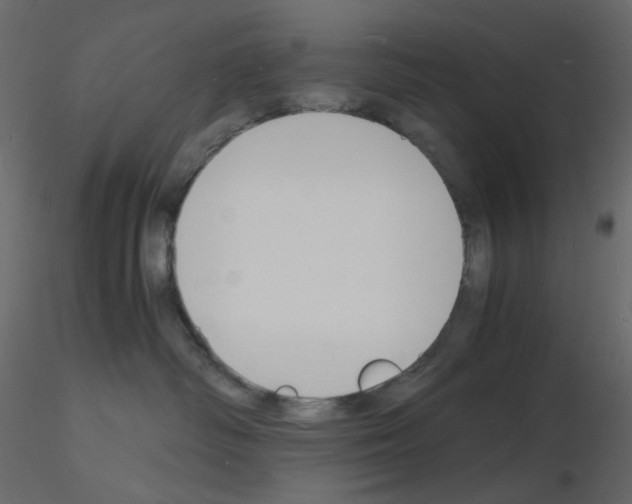 X0000115840334200912242022