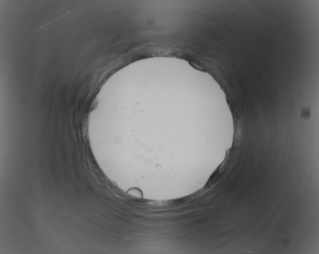 X0000115840335200912242022