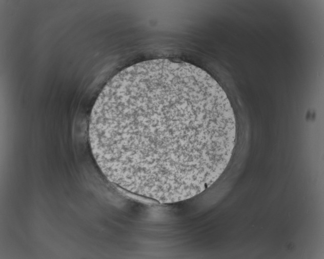 X0000115840336200912242022