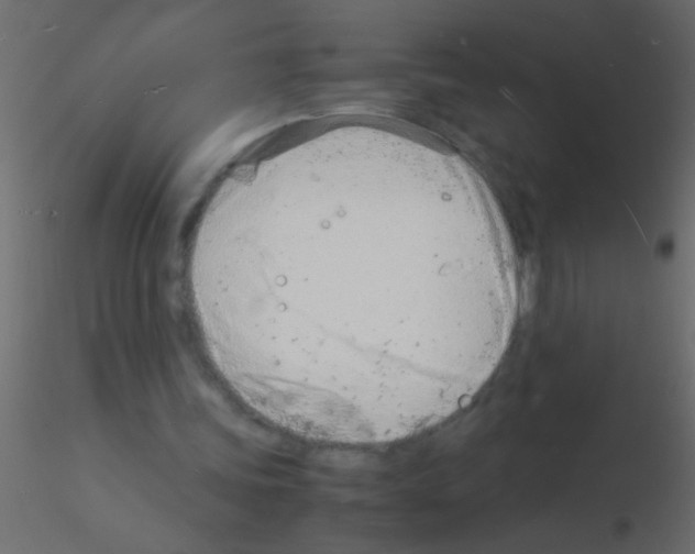 X0000115840339200912242021