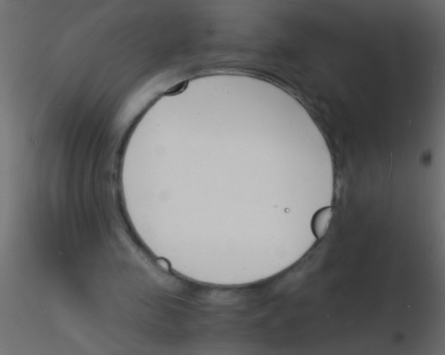 X0000115840341200912242021