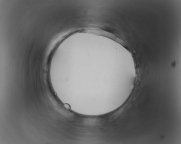 X0000115840342200912242021