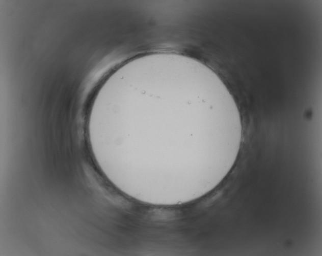 X0000115840343200912242021