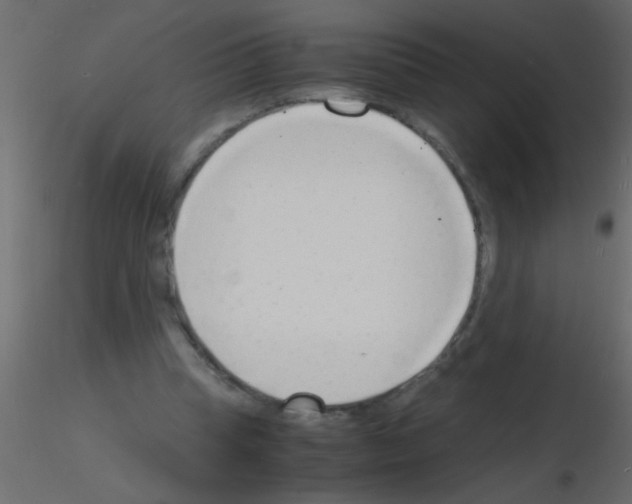 X0000115840345200912242021